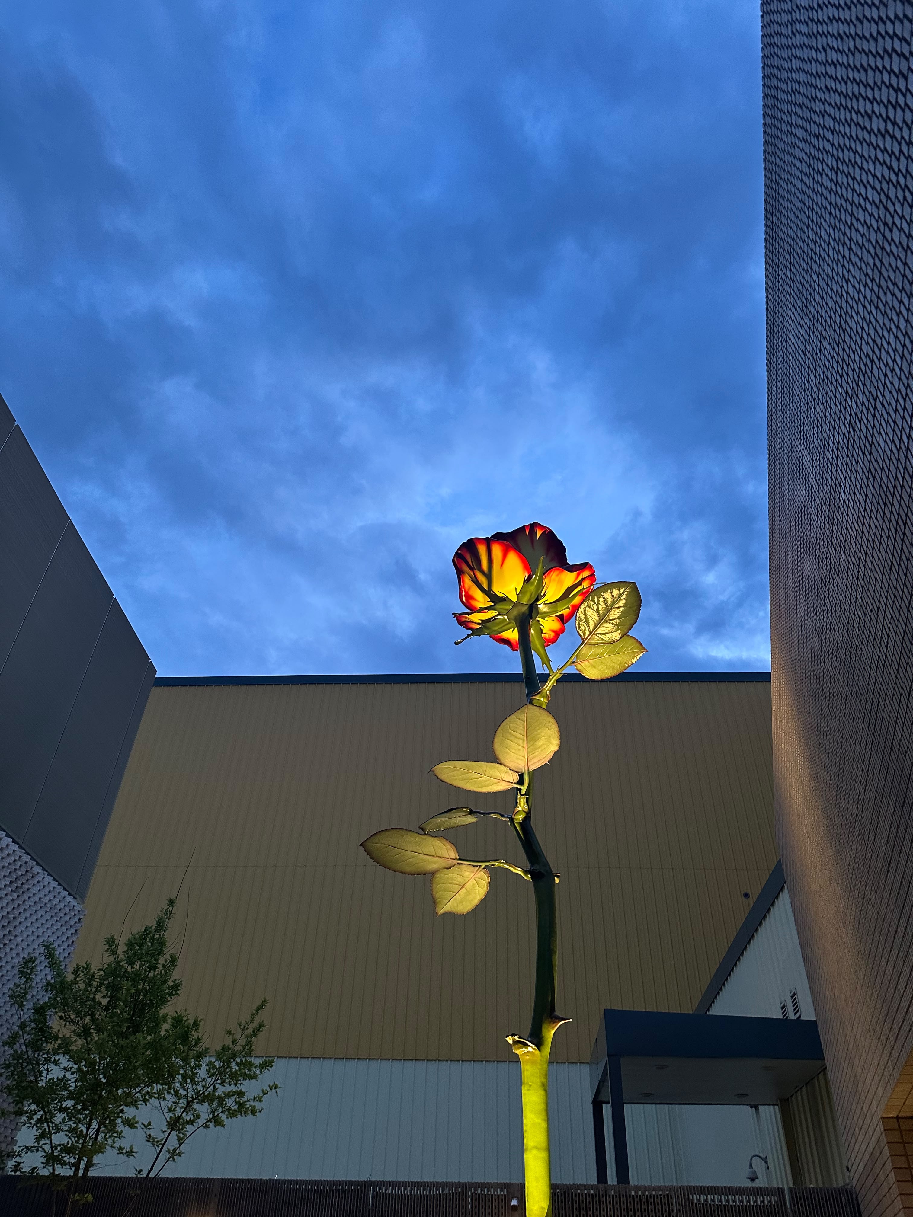 20:19