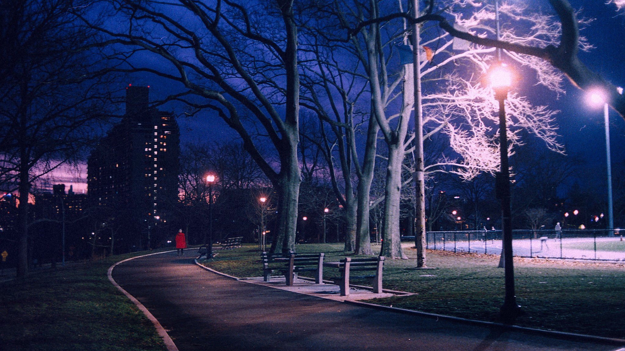 A dreamy winter night in a New York City park on 35mm by Eamon Bonner